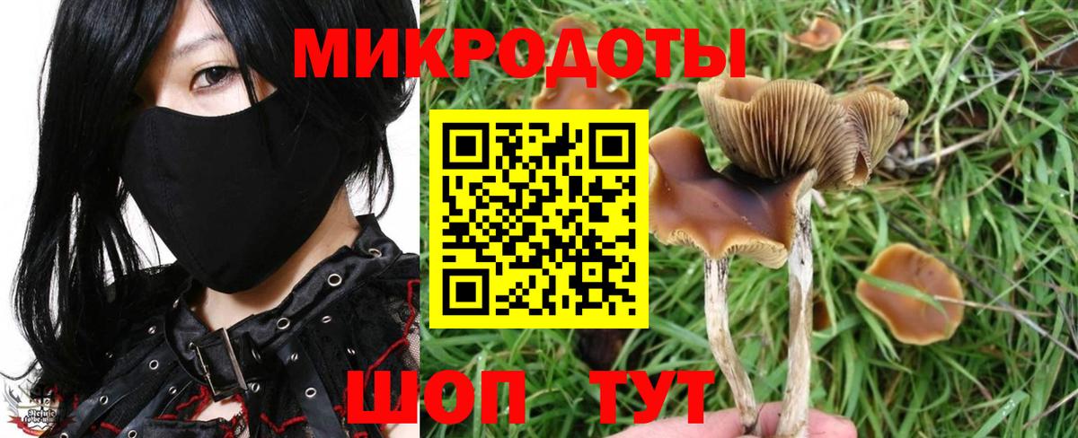 Псилоцибиновые грибы ЛСД Грозный